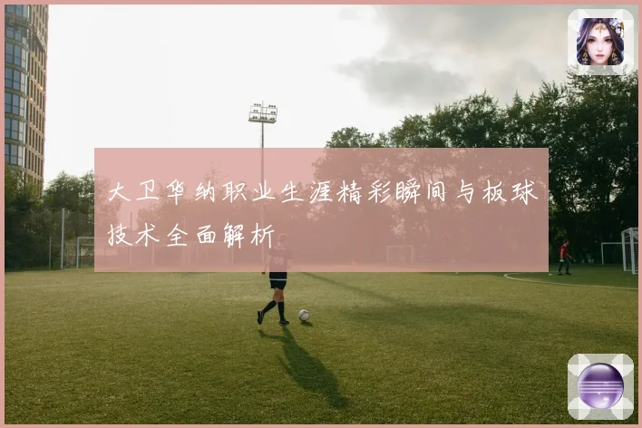 大卫华纳职业生涯精彩瞬间与板球技术全面解析