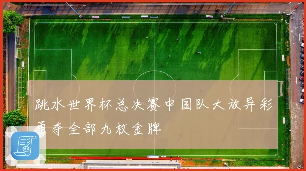 跳水世界杯总决赛中国队大放异彩勇夺全部九枚金牌