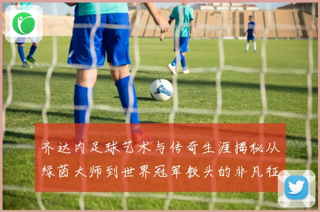 齐达内足球艺术与传奇生涯揭秘从绿茵大师到世界冠军教头的非凡征程