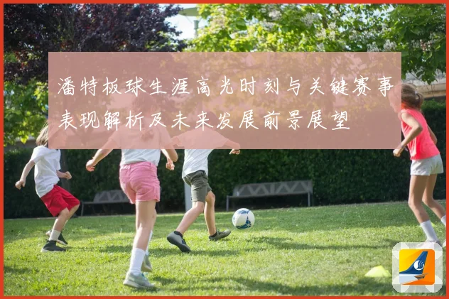 潘特板球生涯高光时刻与关键赛事表现解析及未来发展前景展望