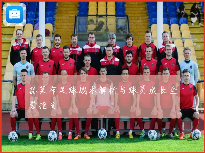 赫莱布足球战术解析与球员成长全景指南